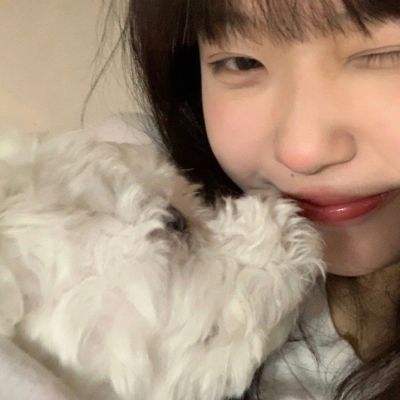 十品芝麻官满v版下载